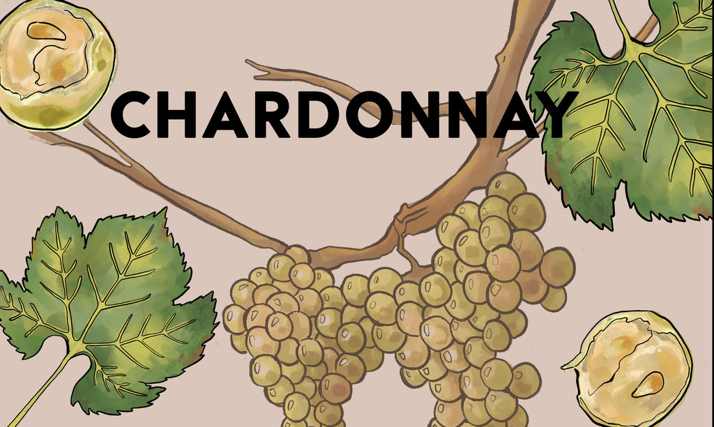 Wine Grapes: Chardonnay