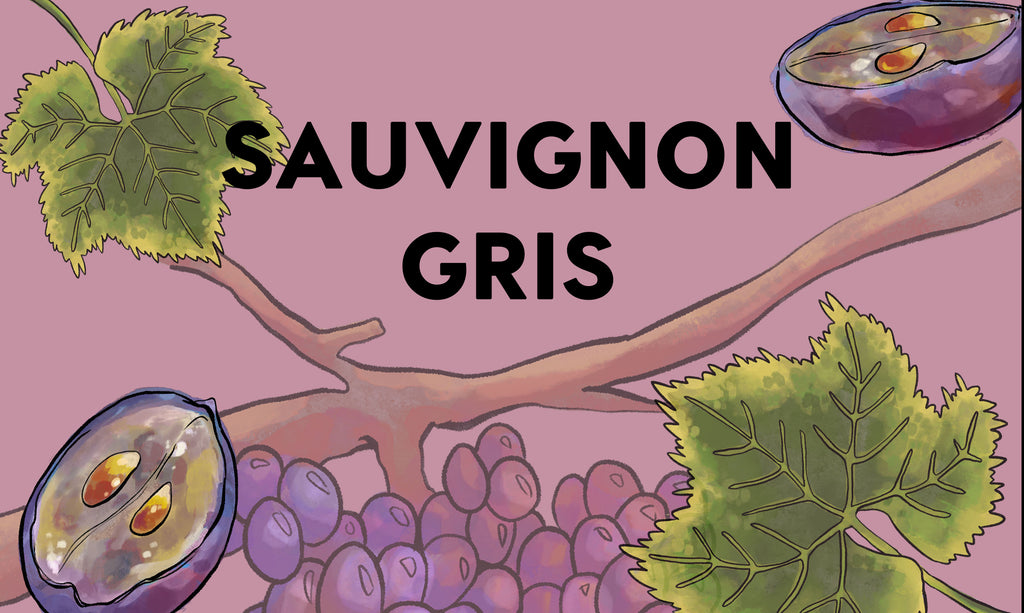 Wine Grapes: Sauvignon Gris