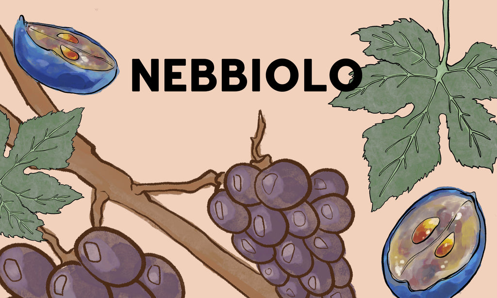 Wine Grapes: Nebbiolo