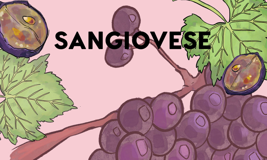 Wine Grapes: Sangiovese