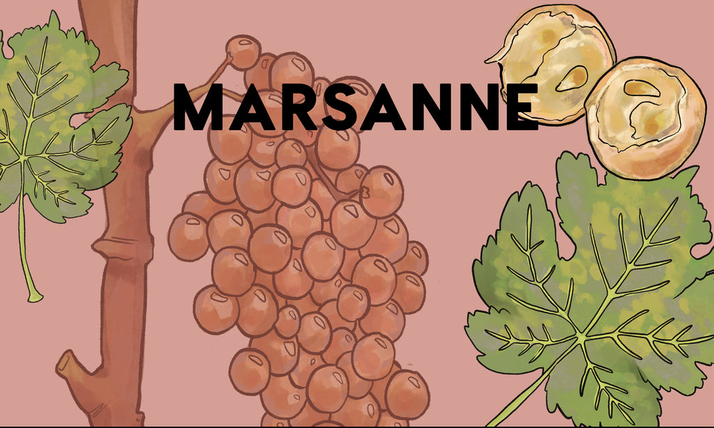 Wine Grapes: Marsanne
