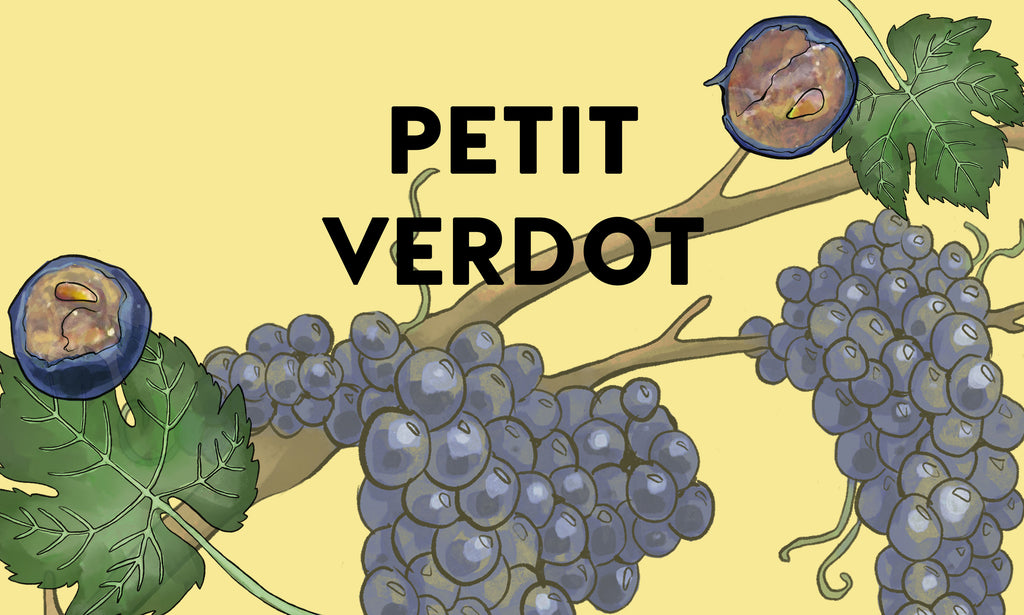 Wine Grapes: Petit Verdot