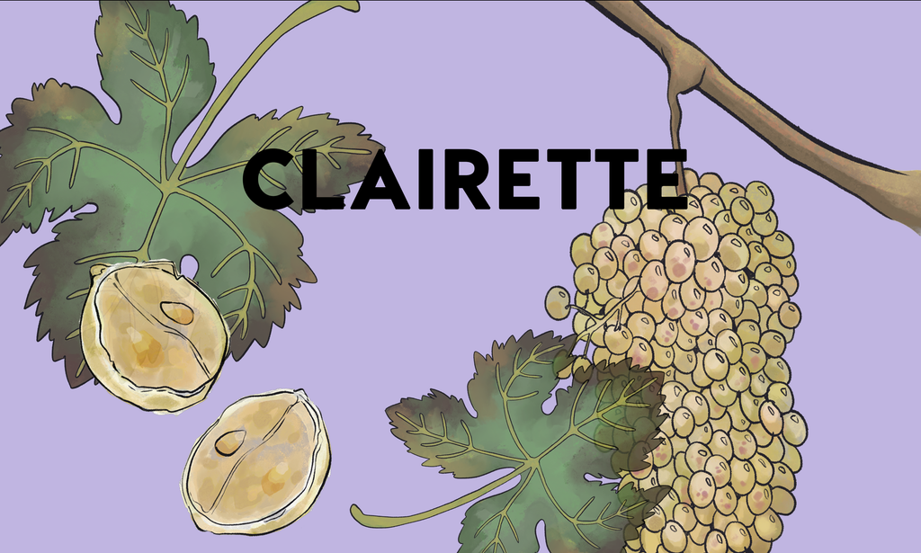 Wine Grapes: Clairette