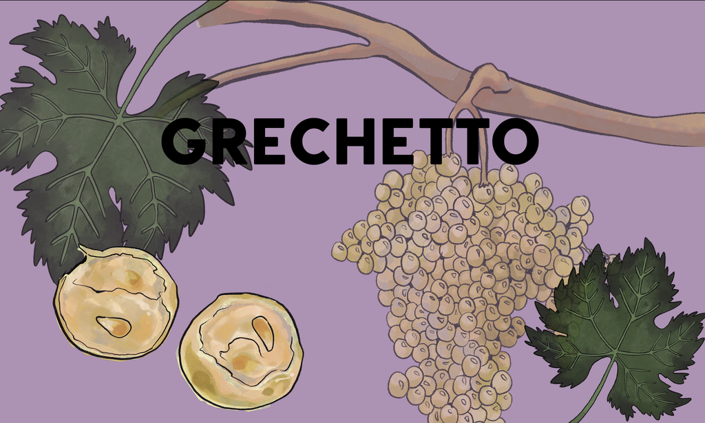 Wine Grapes: Grechetto
