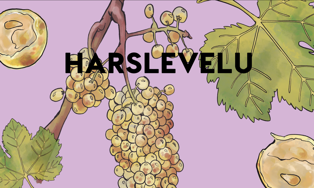 Wine Grapes: Harslevelu