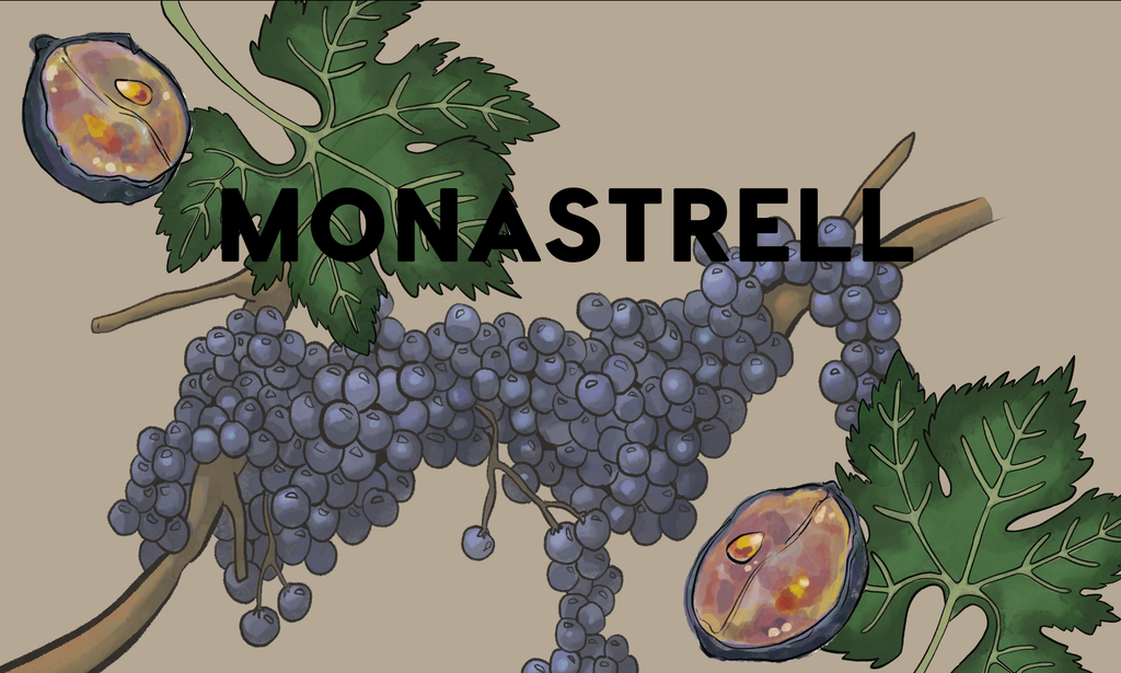 Wine Grapes: Monastrell