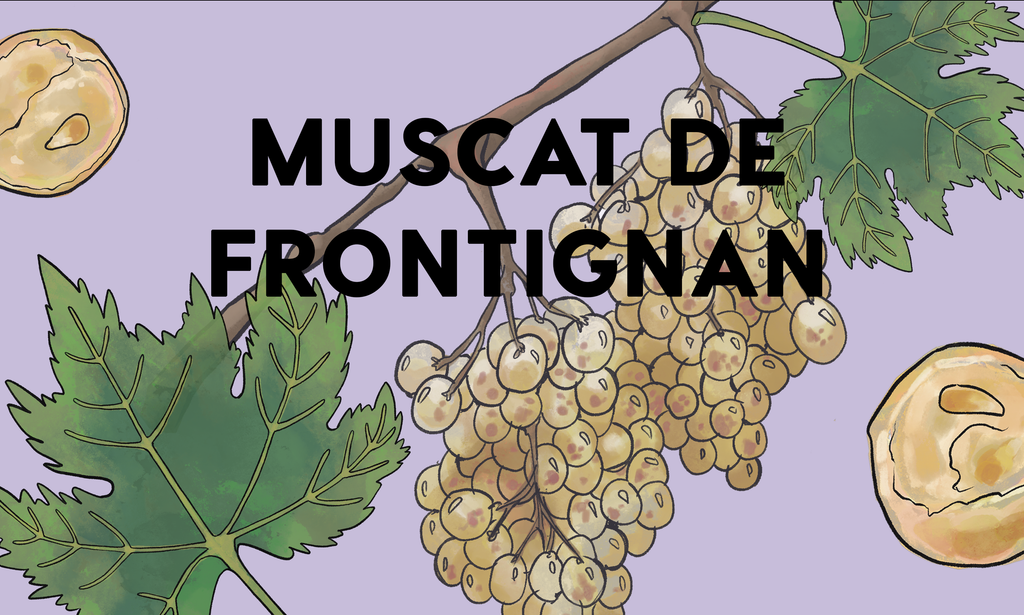 Wine Grapes: Muscat de Frontignan