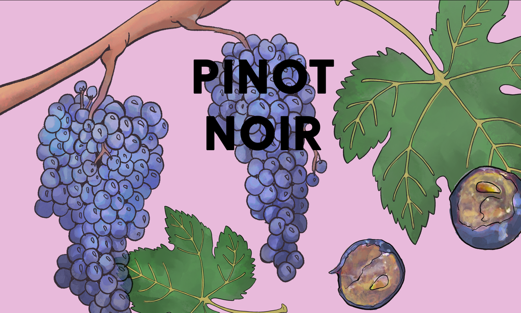 Wine Grapes: Pinot Noir