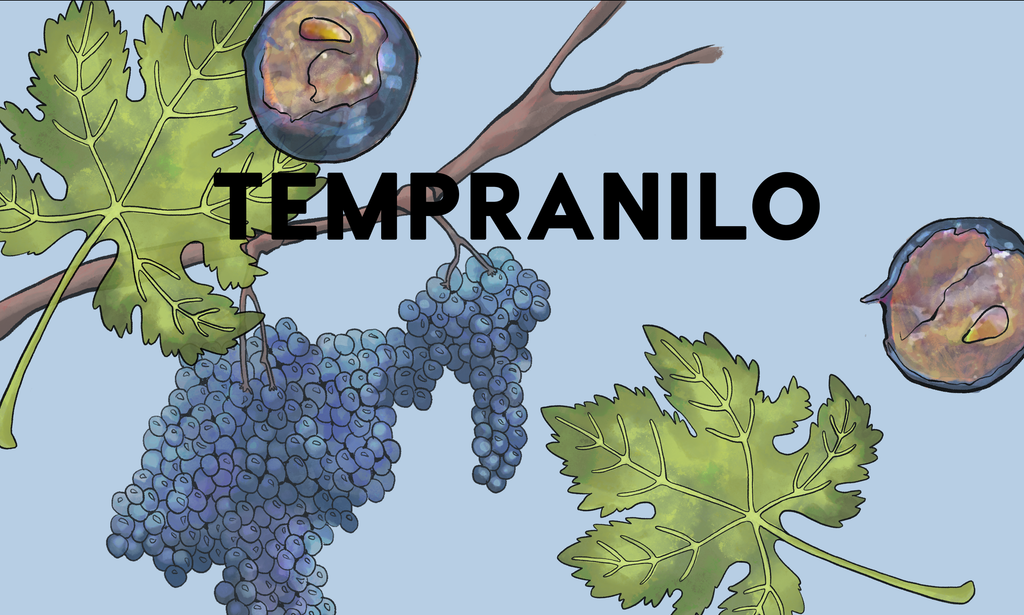Wine Grapes: Tempranillo