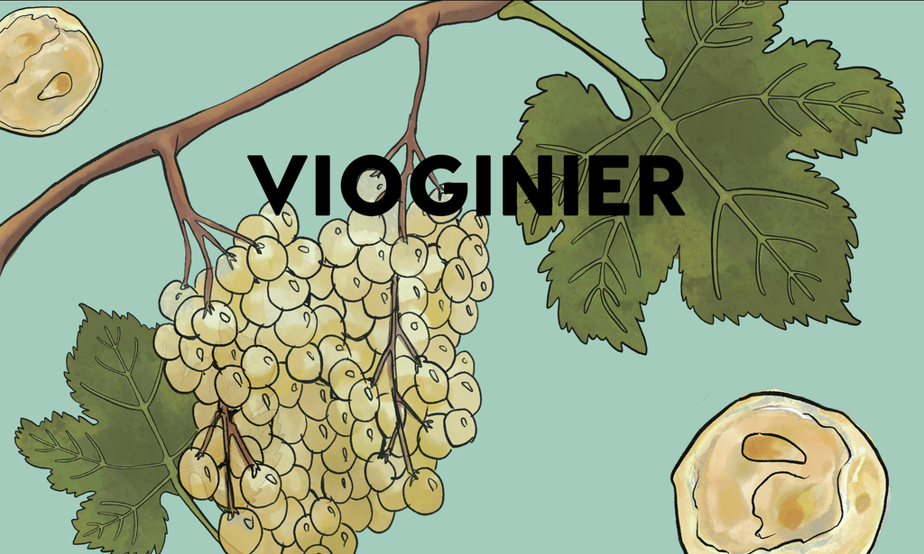 Wine Grapes: Viognier