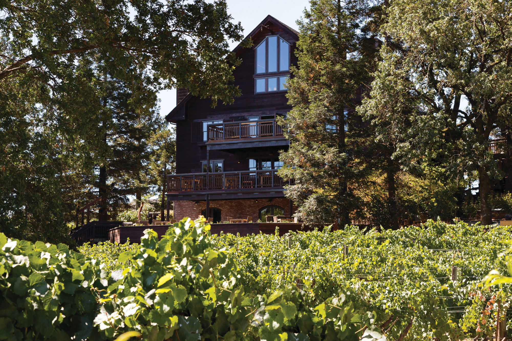 Saralee's Vineyard Pinot Noir Ros&eacute;