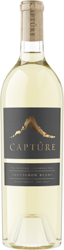 Pine Mountain Sauvignon Blanc 2023