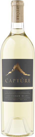 Pine Mountain Sauvignon Blanc 2023
