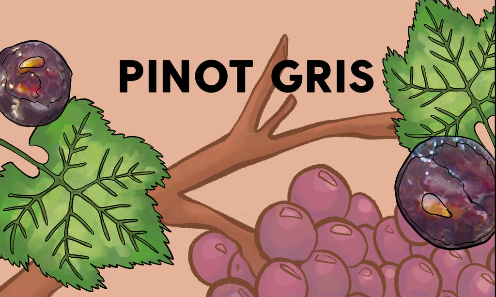 Wine Grapes: Pinot Gris