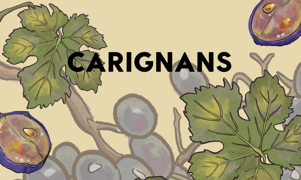 Wine Grapes: Carignans