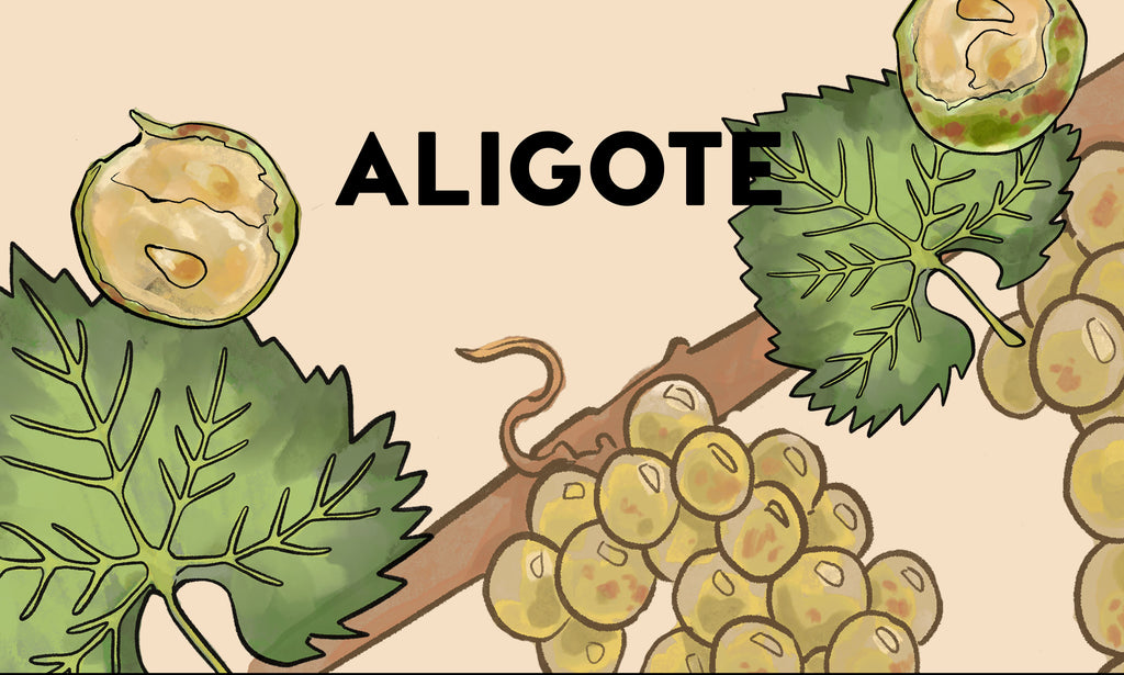 Wine Grapes: Aligote