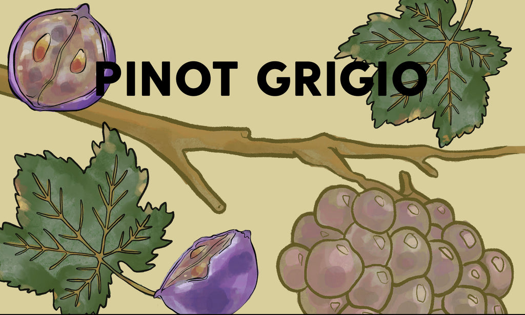 Wine Grapes: Pinot Grigio