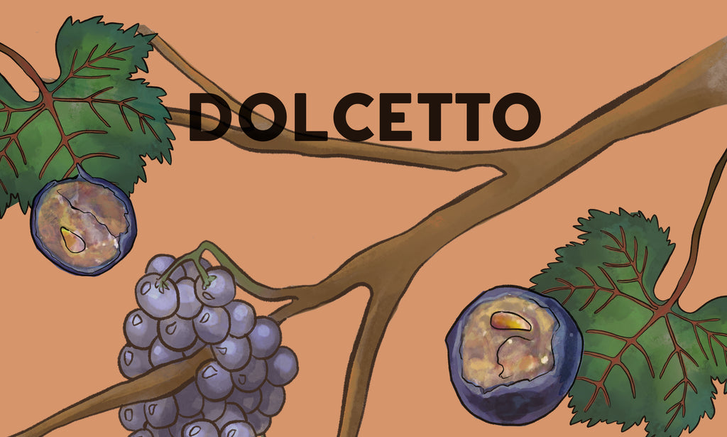 Wine Grapes: Dolcetto