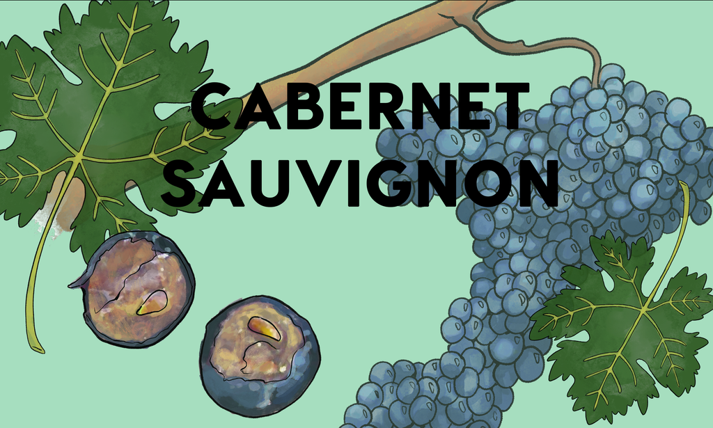 Wine Grapes: Cabernet Sauvignon