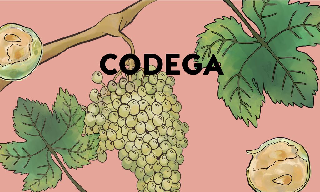 Wine Grapes: Códega