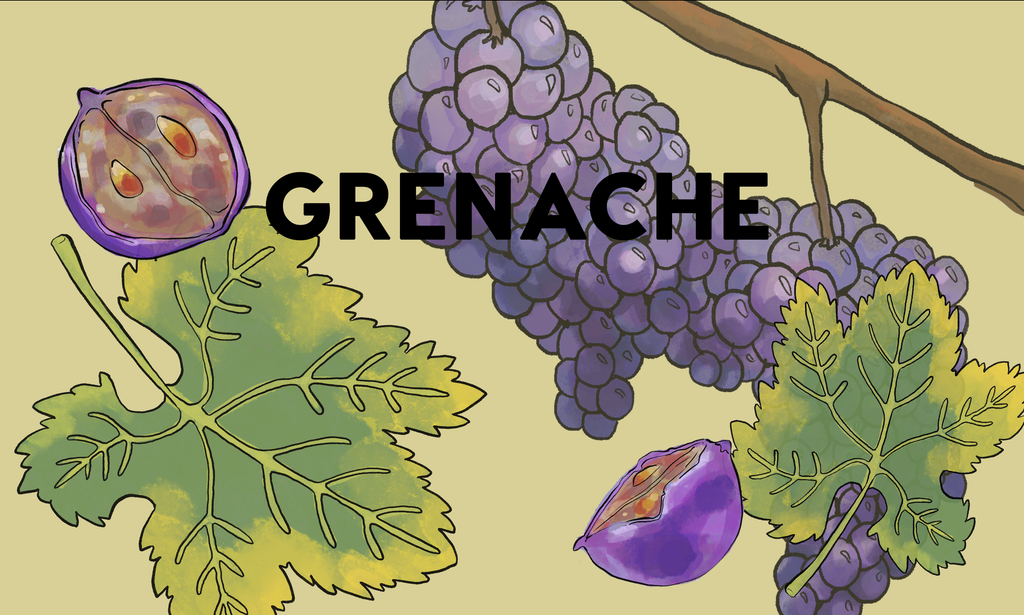 Wine Grapes: Grenache