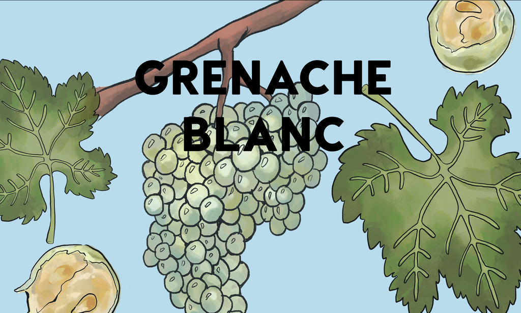 Wine Grapes: Grenache Blanc