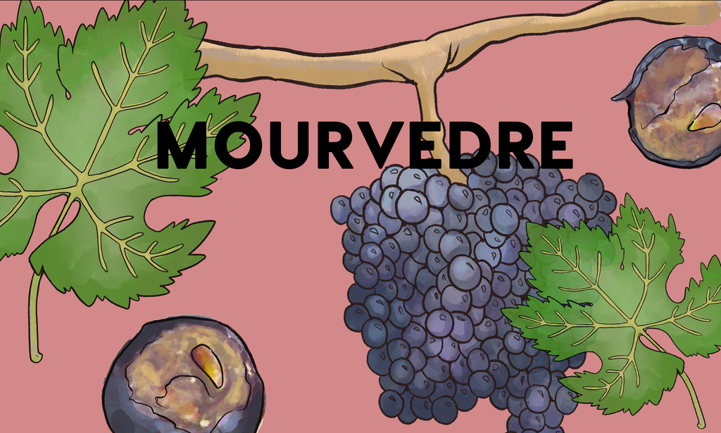 Wine Grapes: Mourvèdre