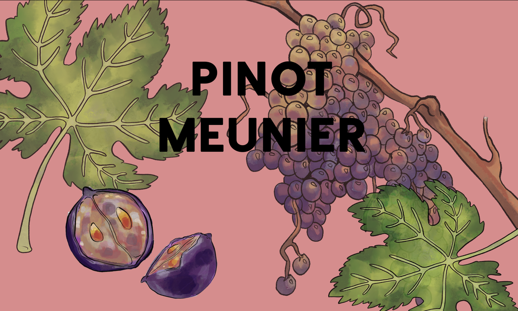 Wine Grapes: Pinot Meunier