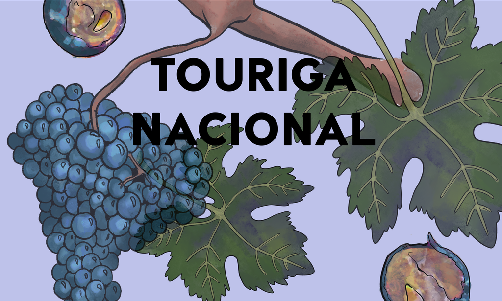 Wine Grapes: Touriga Nacional