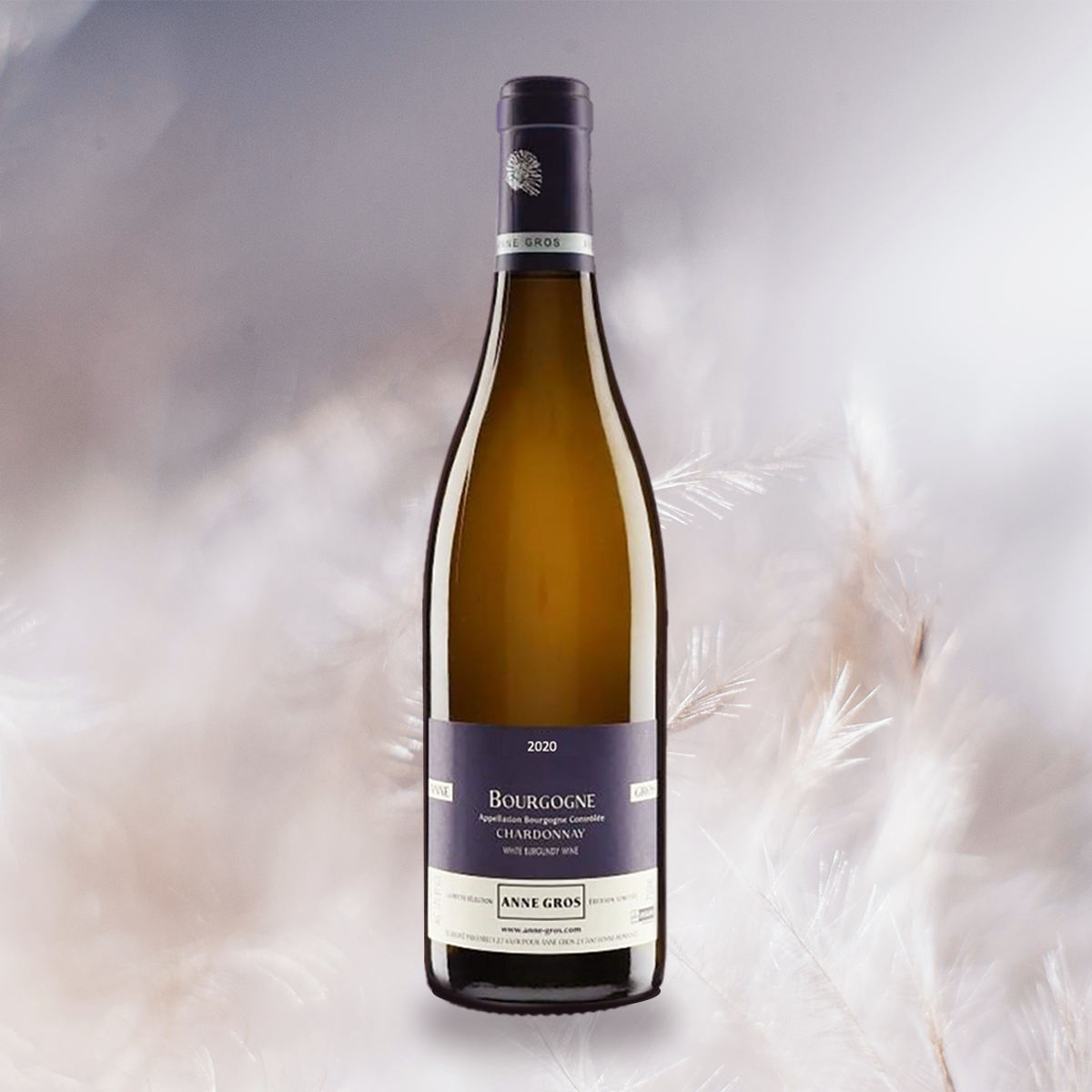 yourwinefix Anne Gros Bourgogne Blanc Chardonnay 2020