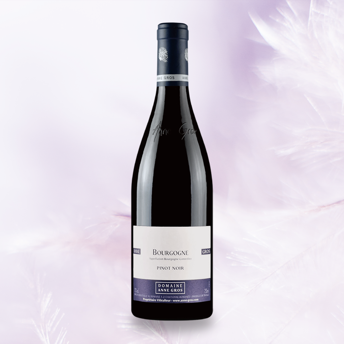 yourwinefix Anne Gros, Bourgogne Pinot Noir 2021