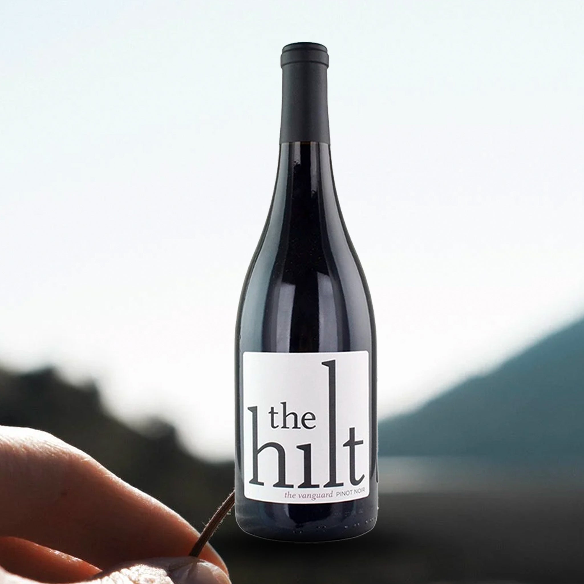 The Hilt Vanguard Pinot Noir 2015
